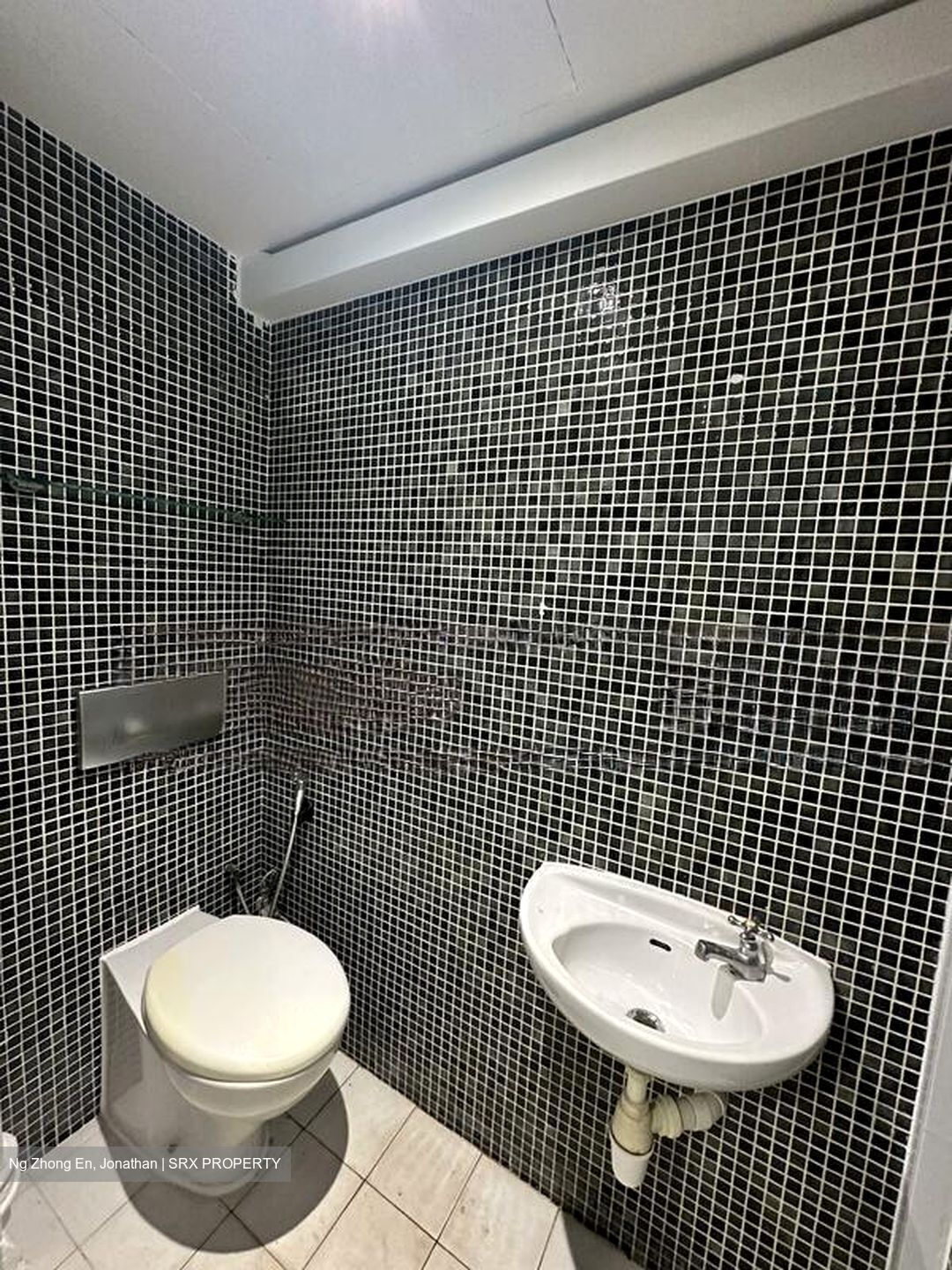Dunearn Road (D11), Condominium #417452371